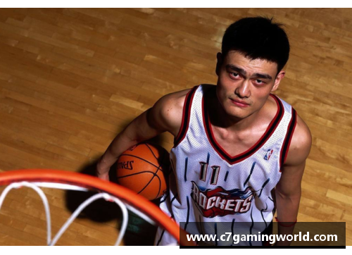 C7娱乐NBA球员姓名大全及其相关信息整理与分析 - 副本